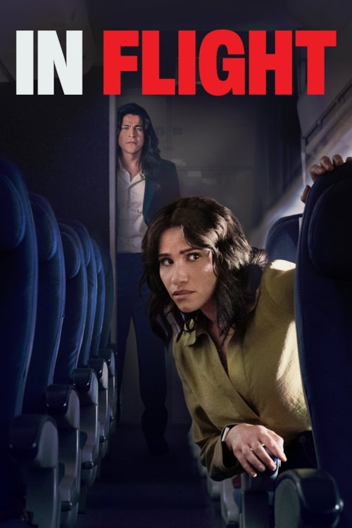 In Flight poster